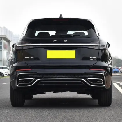 Flag Enjoy Pro Commemorative Edition Hongqi HS5 2.0T - Best Selling Fuel Car