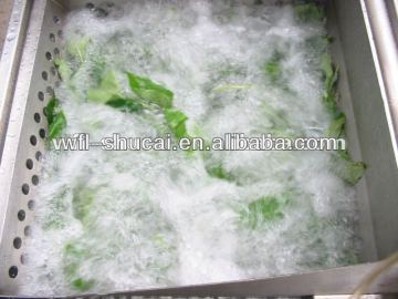 Leafy Vegetables Washing Machine(200kg/h)