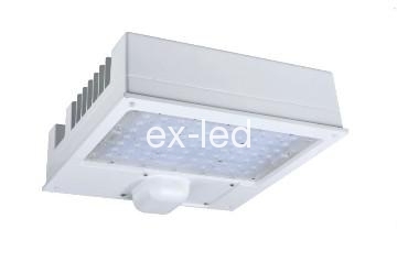 Excellent 120w led gas station light Projector Lamp, Floodlight IP66