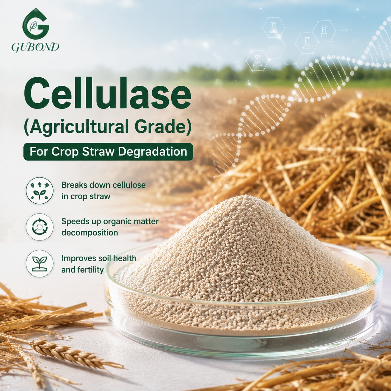 Cellulase (Agricultural Grade) (2)