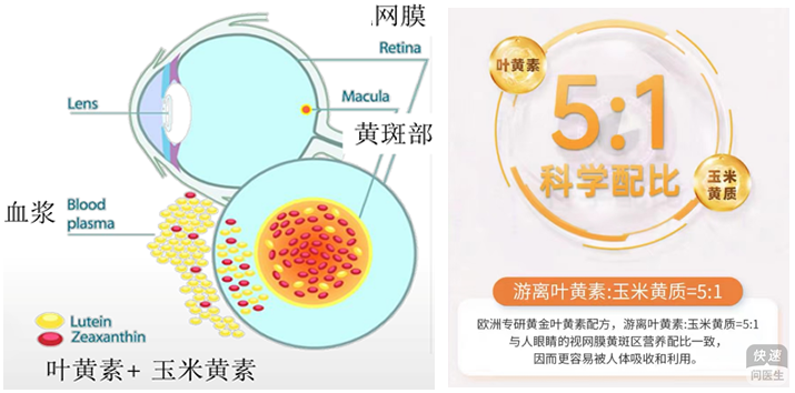 marigold extract lutein zeaxanthin