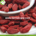 Niedrige Zucker natürliche Ernährung Sweet Common Goji Beeren