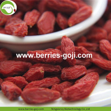 Low Sugar Natural Nutrition Sweet Common Goji Berries