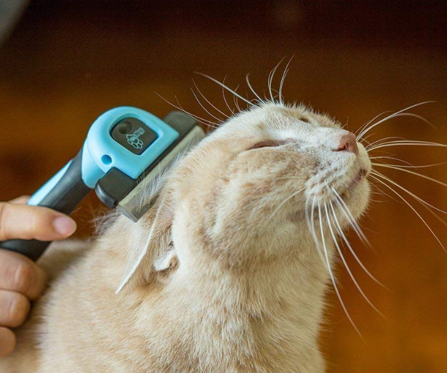 Pets Brush for Shedding