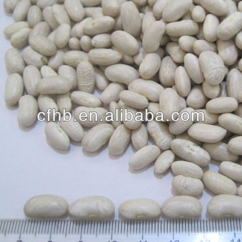 White kidney beans Spanish shape wholesale price