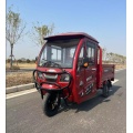 Low Price High Quality three Wheel Electric Car