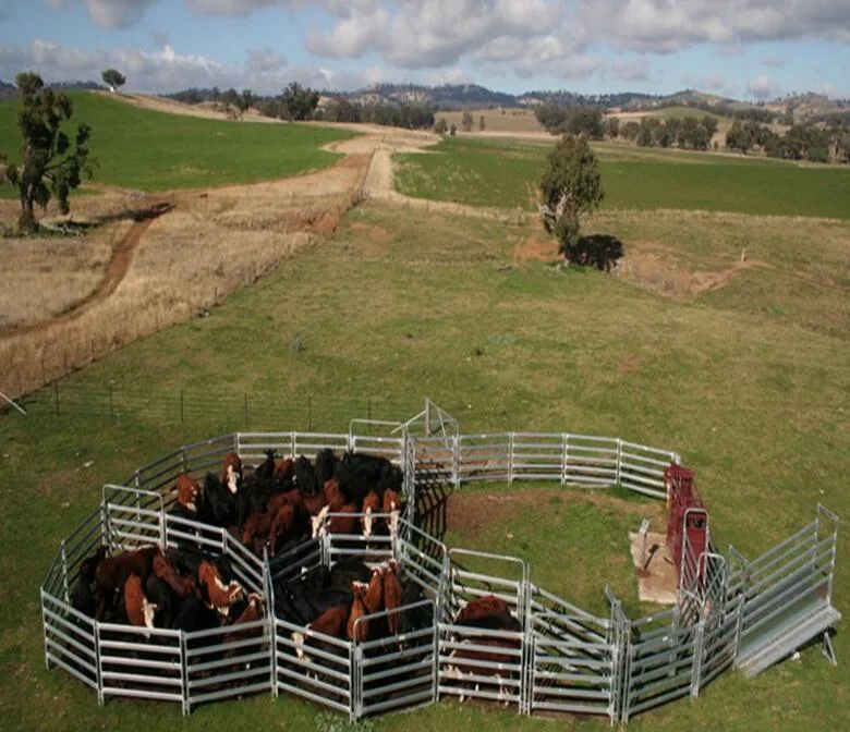 家畜牛の牛のフェンスパネルはオーストラリア農場へ