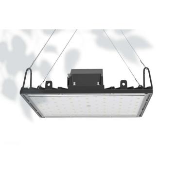 Luz de cultivo LED UV 150W para verduras