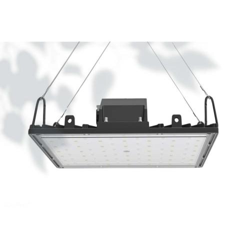 Lampe de culture UV carrée pour plantes d&#39;intérieur