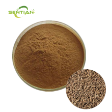 Natural Caraway Seed Extract