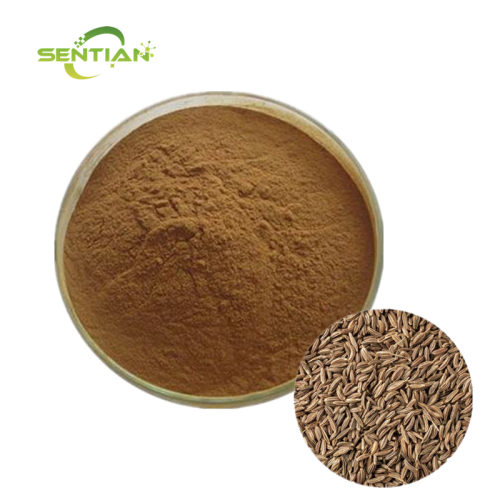 Natural Caraway Seed Extract