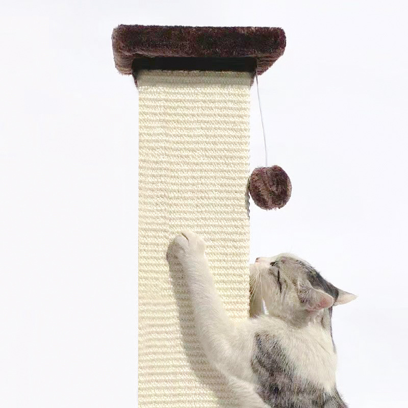 cat scratcher