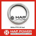 SELO DE ÓLEO PTFE 3900709