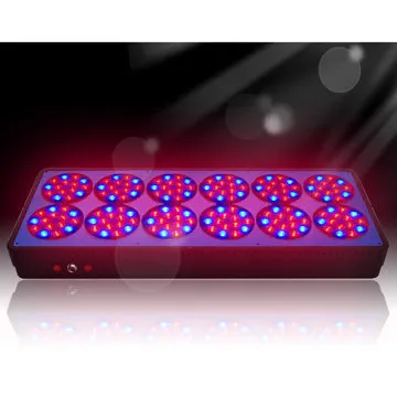 LED Grow Lighting, High Efficiency, High Brightness