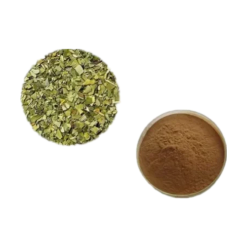 High Quality Mate Tea Extract