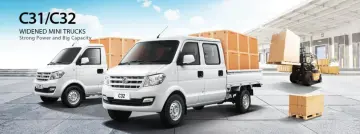 C31 single cabin mini truck