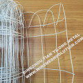/msite/products/detail/productid/54140925/id/538516.html