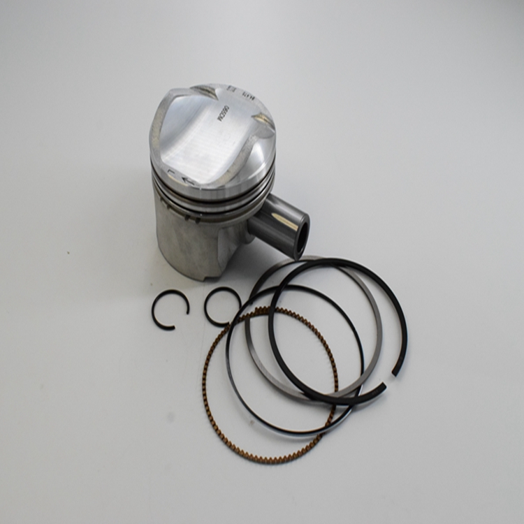 Parts Piston With Piston Rings For All Model