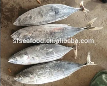 canned tuna fish of skipjack tuna