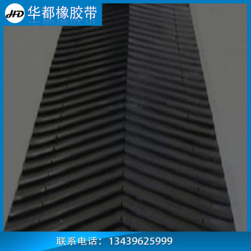 BIg Angle Patterned Conveyor Belts