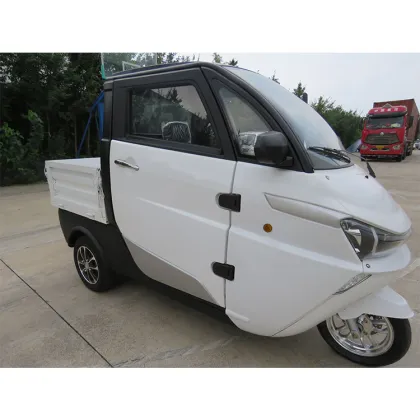 YouYou Electric Cargo Car - New Energy Van Vehicle