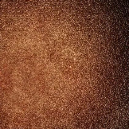 Auto Leather Care Specialists