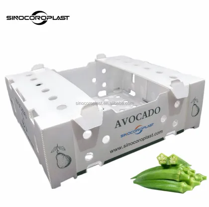 Coroplast Okra Packing Box