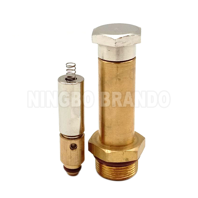 LPG CNG Solenoid Armature