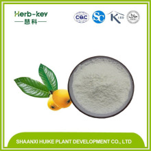 Ursolic Acid, Loquat Leaf Extract, Ursolic Acid Powder