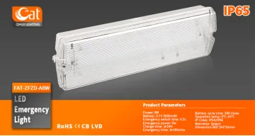 IP65 LED emergency light with CE certificate