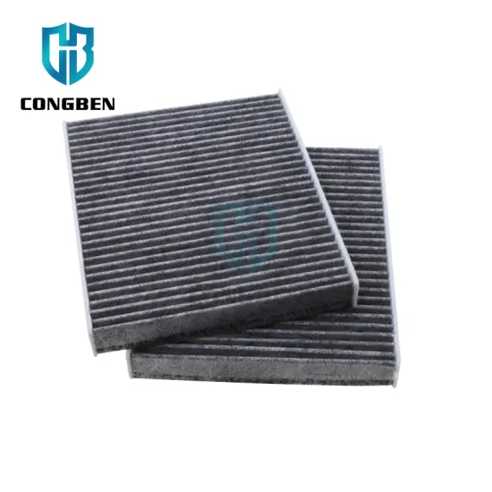 OEM 64119163329 64119272642 BMW 5 F10 535 Cabin Air Filter