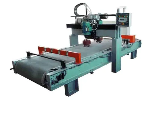 Automaic stone machine to make LYCHEE surface,lychee processing line