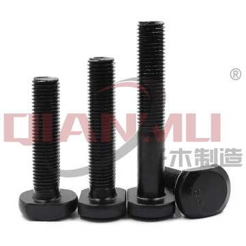 Hot Dip Galvanized T-Bolt