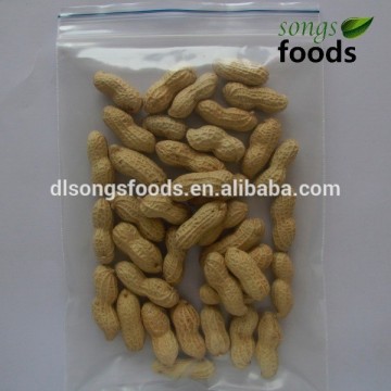 Good Quality and Competitive Peanut Price