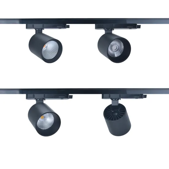 RONSE Modern Adjustable Beam Aluminum Track Light for Ceiling Showroom
