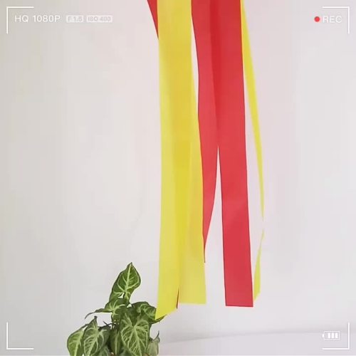 Low Price New Design Wind sock Carp Flags