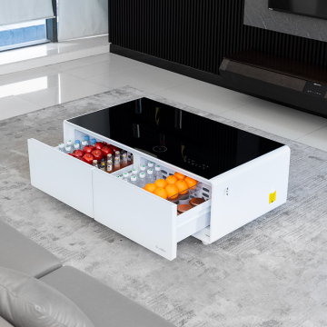 Nuovo Design Mini bar touch screen LED LED LIGHT Fridge a temperatura costante integrante