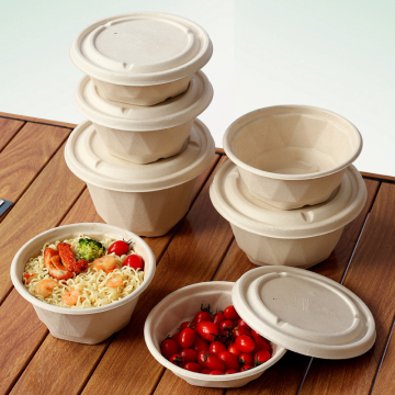 Eco-Friendly Degradable Bagasse Round Bowl - Safe and Non-Toxic