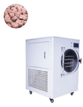 Small Home Freeze Dryer with Vacuum Cavitation System