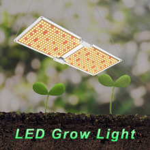 Big Power Quantum Growth LED Grow Lamp