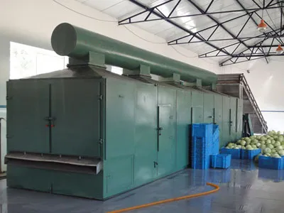 Tea tree mushroom special drying machine