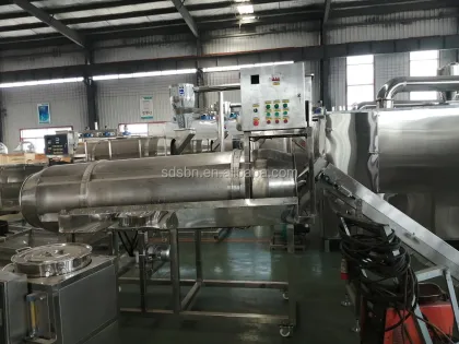 Breakfast Cereal Production Equipment