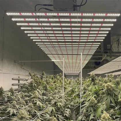 Grow Room Temp Led Supplemental Grow Lights