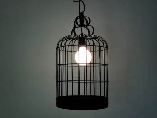 Iron Bird Cage Kitchen Ceiling Pendant Light