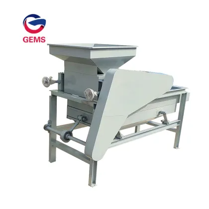 Automatic Chestnut Peeler Machine Chestnut Peeling Machine