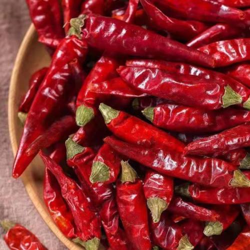 Single Spice Dried Chili Base direct sales dried chili Yan Chili Supplier