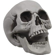 Скелетный череп для декора Хэллоуина