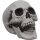 Crânio de esqueleto para decoração de Halloween