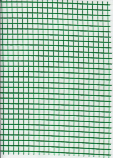 Multi-purposes Plastic Net/ Garden Mesh/ For Agricultural Use