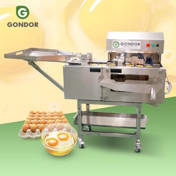Volledig automatische high-ei-yolk scheiding en pasteurisatieapparatuur